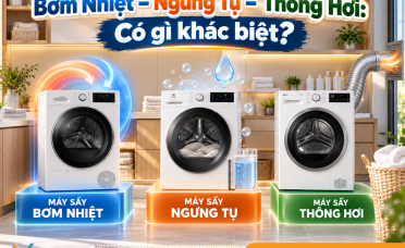 Máy Sấy Bơm Nhiệt, Ngưng Tụ Hay Thông Hơi? Đừng Mua Khi Chưa Biết 3 Điểm Khác Biệt Này